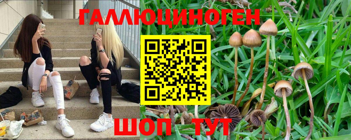Галлюциногенные грибы MAGIC MUSHROOMS Прокопьевск